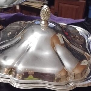 Elegant Silver Plated Serving Dish